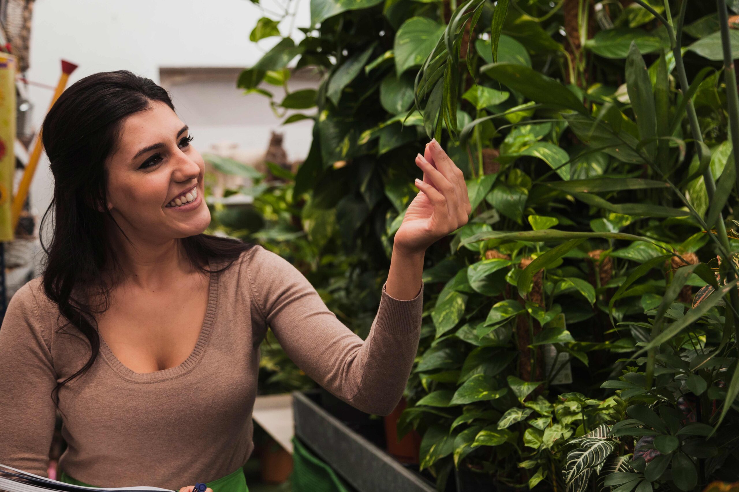 Eleva tu Espacio: La Tendencia de la Jardinería Vertical en Departamentos